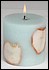 29553 Apple spice scent candle with dried apple slices. 